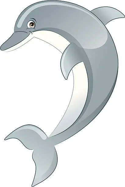 Vector illustration of Dolphin