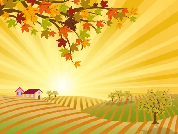 Vector illustration of Autumn Farm Landscape