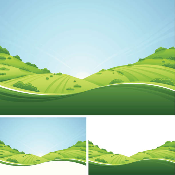 ilustrações, clipart, desenhos animados e ícones de paisagem fresco - rolling hill field green