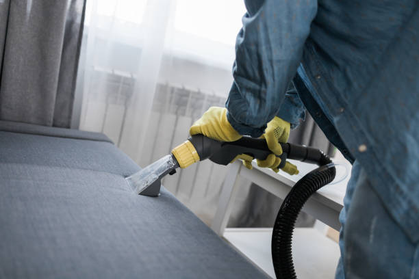 istock Man cleaning couch with washing vacuum cleaner, closeup 1657454113