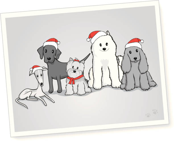 Black and White Portrait of Dogs with Santa Hats Black and White Portrait of Dogs with Santa Hats. 14443567 black and white photo christmas cards stock illustrations