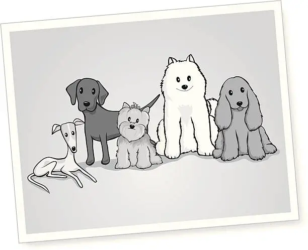 Vector illustration of Black and White Portrait of Dogs