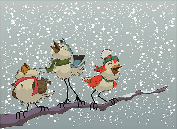 Christmas birds vector art illustration