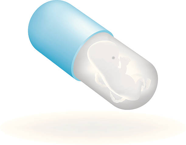 ilustraciones, imágenes clip art, dibujos animados e iconos de stock de píldora - contraceptive sex education embryo death