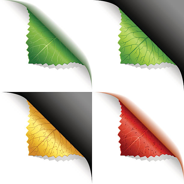 Green, yellow, red leaf corner page curl vector art illustration