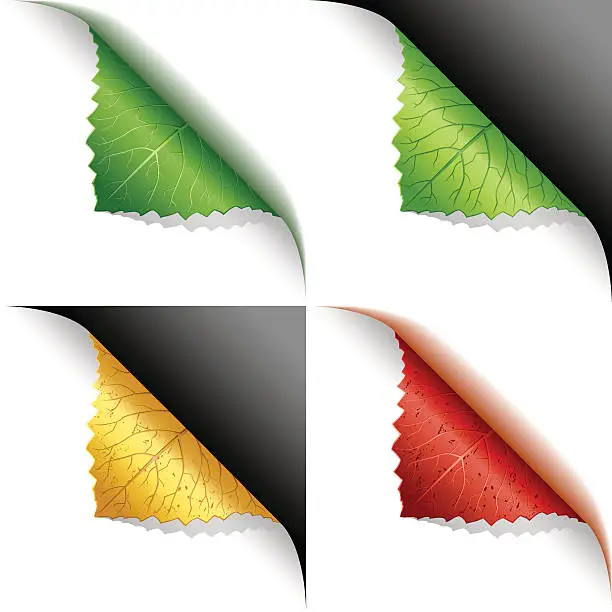 Vector illustration of Green, yellow, red leaf corner page curl