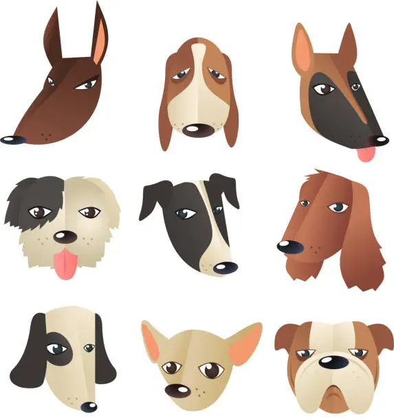 Vector illustration of Dog head collection