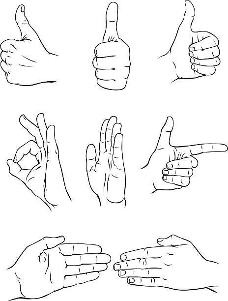 Various hand forms 3 vector art illustration