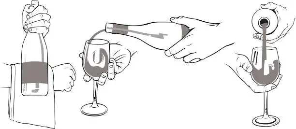 Vector illustration of Hands presenting and pouring wine