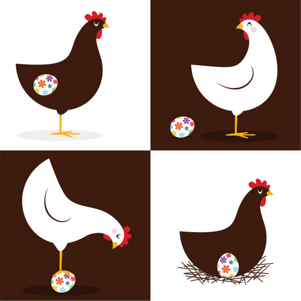 wielkanoc hen - chicken eggs animal egg cartoon stock illustrations