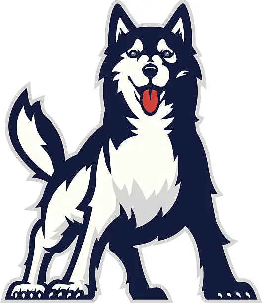 Vector illustration of Huskie mascot
