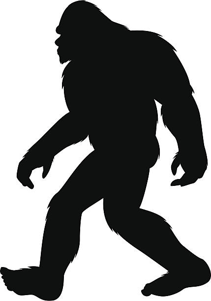 bigfoot silhouette silhouette of a bigfoot walking yeti cartoons stock illustrations