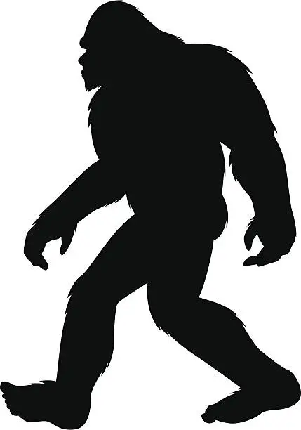 Vector illustration of bigfoot silhouette