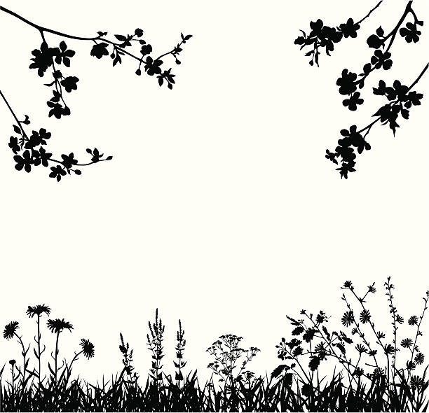 Spring blossomed garden Silhouettes of variable spring plants  nature silhouettes stock illustrations