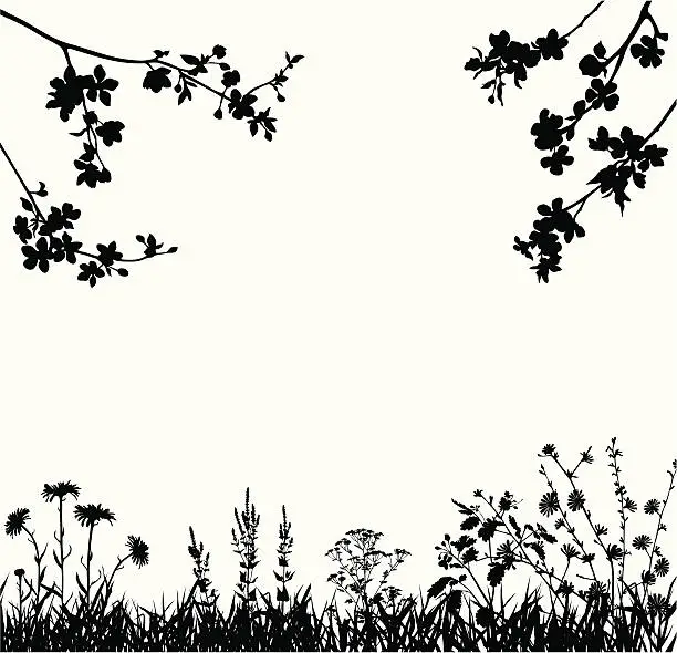 Vector illustration of Spring blossomed garden