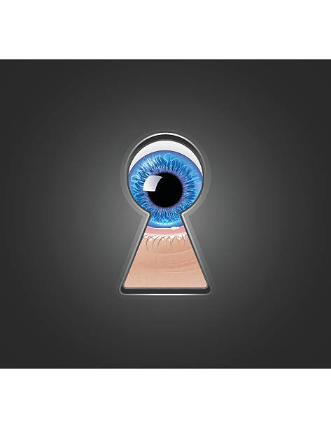 ilustrações, clipart, desenhos animados e ícones de olhando pelo buraco de fechadura - keyhole peeking human eye curiosity