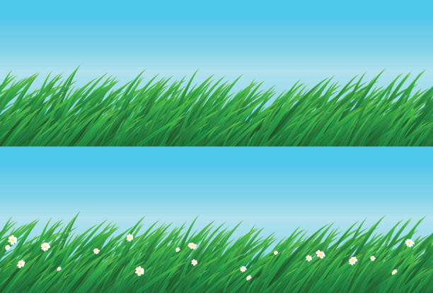 Seamless meadow vector art illustration