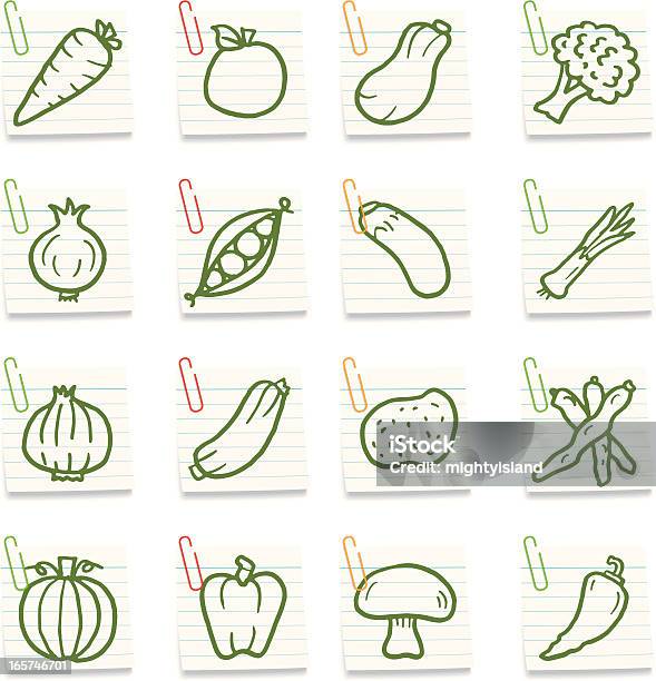 Notas De Legumes - Arte vetorial de stock e mais imagens de Abóbora-Menina - Cucúrbita - Abóbora-Menina - Cucúrbita, Alho, Alho Francês