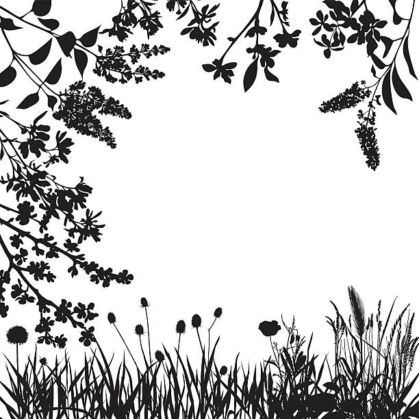 Flower border design Black and White Stock Photos & Images - Alamy