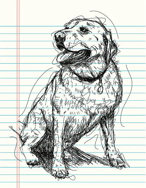 Vector illustration of dog sketch