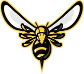 istock Hornet mascot 165747014