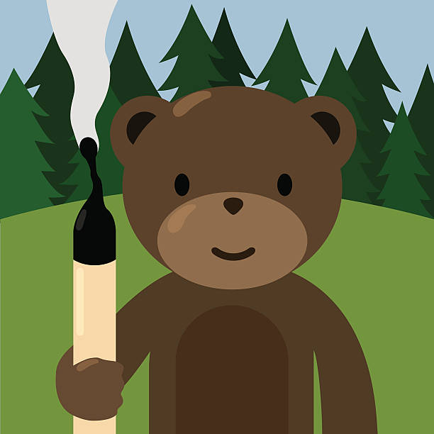 Forest Fire Safety Illustration of a bear holding a blown out match stick to educate about forest fire preventions. wildfire smoke stock illustrations