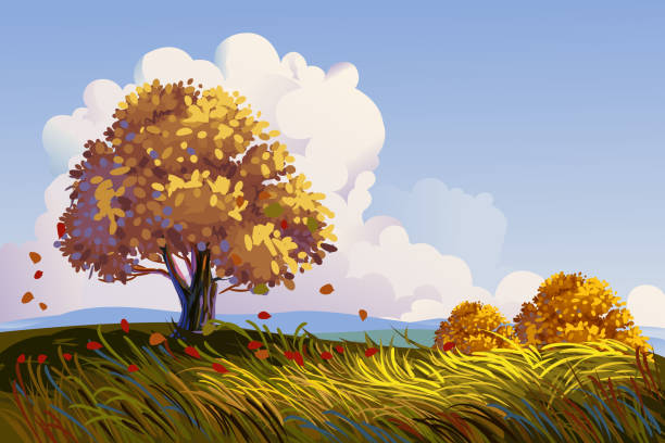 아름다운 가을 풍경 가을에 대한 스톡 벡터 아트 및 기타 이미지 - 가을, 풍경, 나무 - Istock