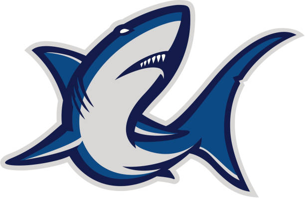 Shark mascot "Stylized powerful shark mascot. All colors are separated in layers. Easy to edit. Black and white version (EPS8,JPEG) included." great white shark stock illustrations