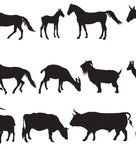 Vector illustration of Domestic Animals