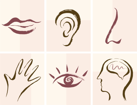 Hand drawn style senses icon set. Zip contains AI and PDF format.
