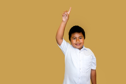 adorable asian boy smiling happily wearing indonesian student uniform and red pants raising hand and forefinger isolated on brown background, Portrait of little boy elementary school, Back to school.