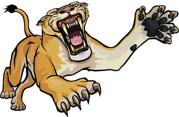 lion attack vector art illustration