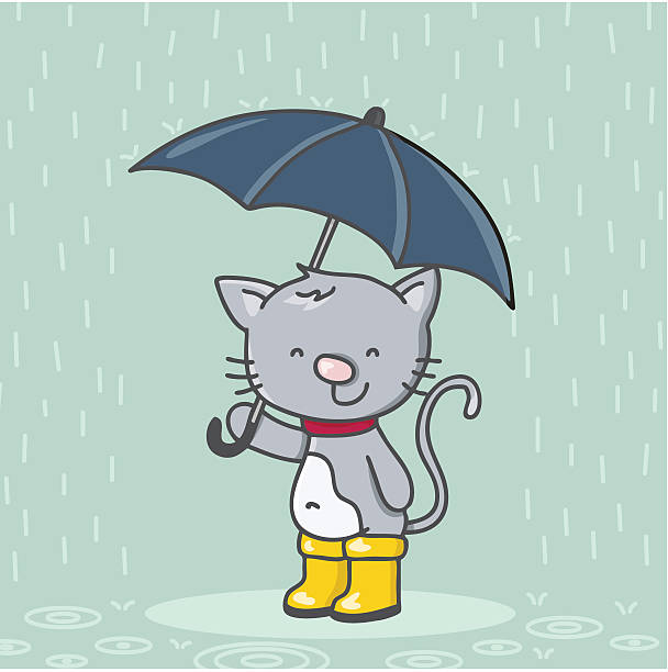 249 Cat Wellies Stock Photos, Pictures 