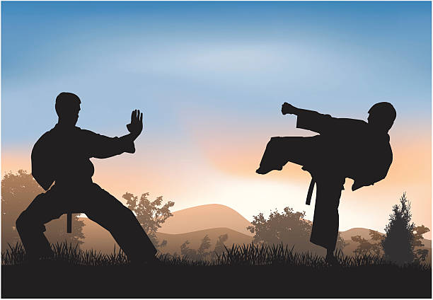 ilustrações de stock, clip art, desenhos animados e ícones de de formação - karate kickboxing martial arts silhouette
