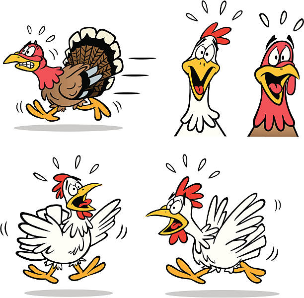 Panic Poutry Great illustration of fearful turkeys and chickens. Perfect for a thanksgiving illustration. EPS and JPEG files included. Be sure to view my other illustrations, thanks! scared chicken cartoon stock illustrations