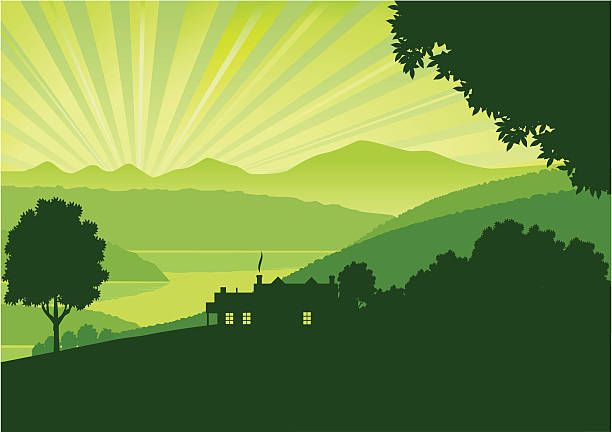 zielony poranek - rolling landscape stock illustrations