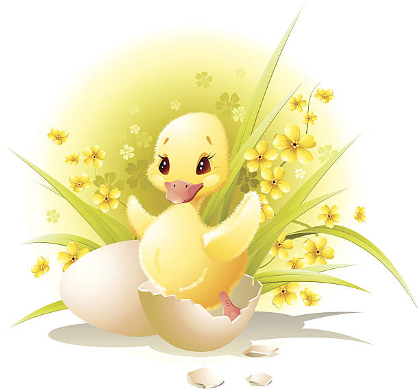 Ilustración de Cumpleaños Patito y más Vectores Libres de Derechos de Huevo - Etapa de animal - Huevo - Etapa de animal, Patito, Pato - Pájaro acuático - iStock Ilustración de Cumpleaños Patito y más Vectores Libres de Derechos de Huevo - Etapa de animal - Huevo - Etapa de animal, Patito, Pato - Pájaro acuático - iStock