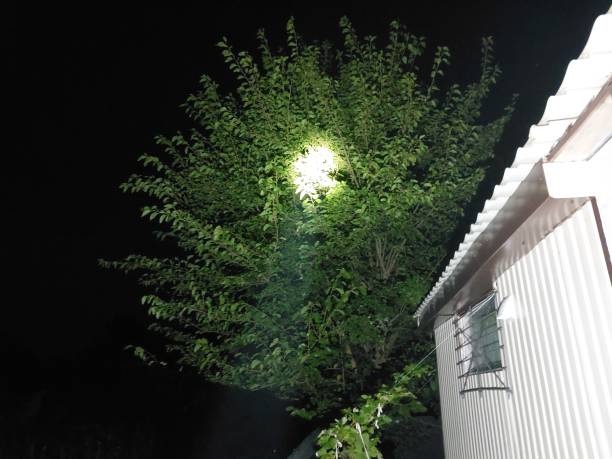 istock A powerful hand lamp illuminates the area at night 1657483644