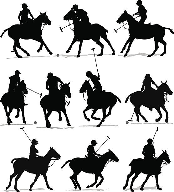 illustrations, cliparts, dessins animés et icônes de ensemble de la silhouette de joueur de polo cheval - polo