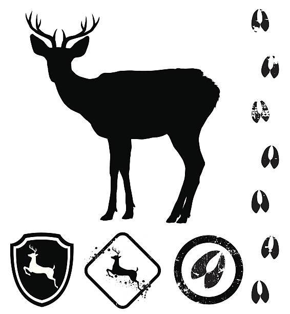ilustraciones, imágenes clip art, dibujos animados e iconos de stock de deer símbolos - grunge shield coat of arms insignia