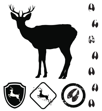 deer and deer signs illustration