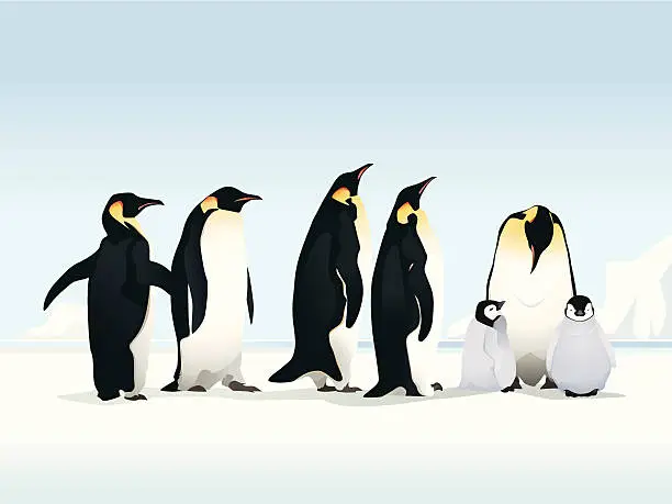 Vector illustration of Penguins on ice