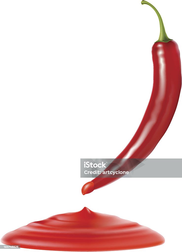 Chilli Sauce A realistic red hot chili pepper dipping chili sauce. Chili Pepper stock vector