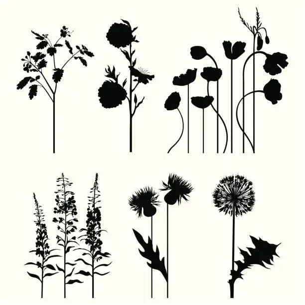 Vector illustration of Plant's set