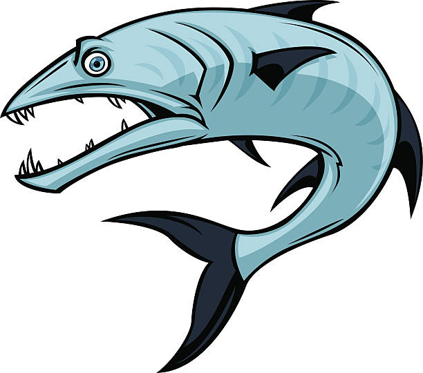 illustrations, cliparts, dessins animés et icônes de barracuda - barracuda