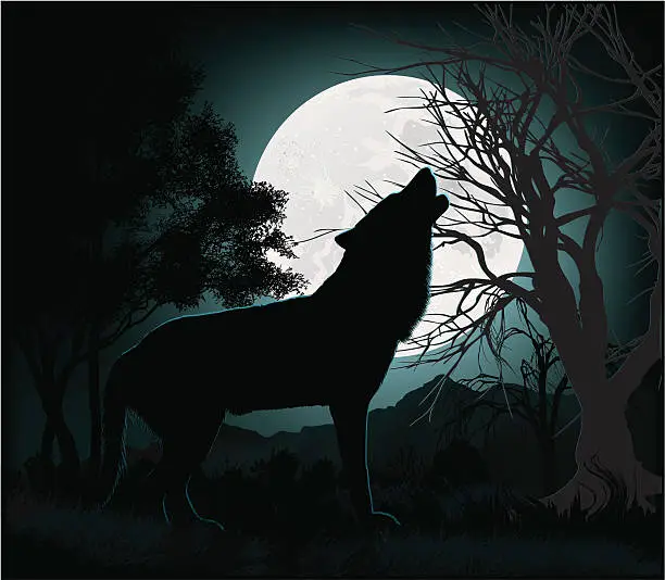 Vector illustration of Howling at the Moon