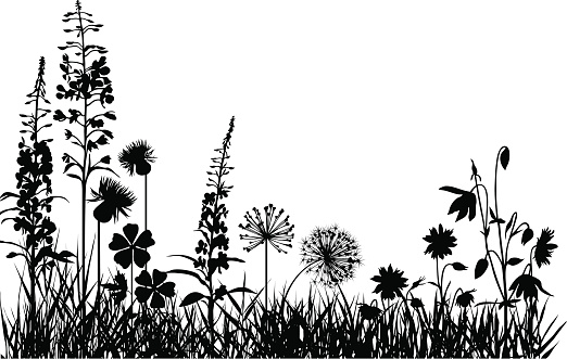 Silhouettes of variable plants and flowers 