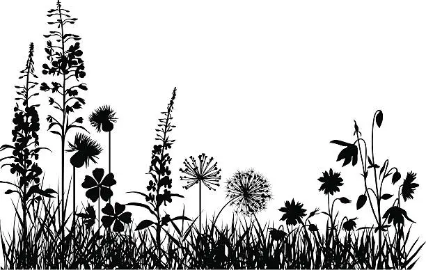 Vector illustration of Mountain meadow