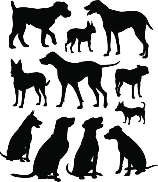 bildbanksillustrationer, clip art samt tecknat material och ikoner med dogs! - knähund