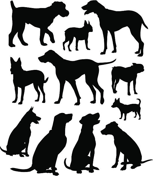 Dogs! Who let the dogs out? A collection of canine silhouettes. chihuahua dog stock illustrations